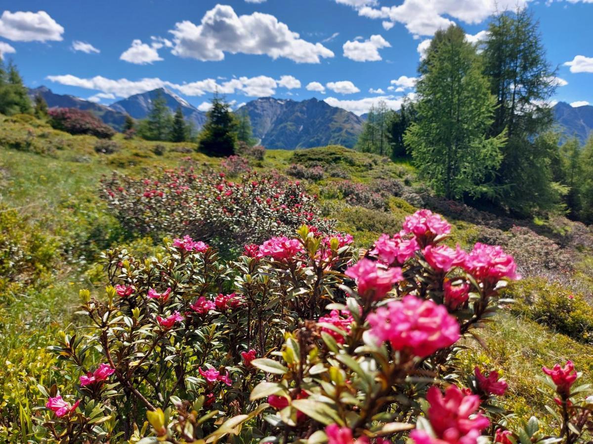 Haus Edelweiss Spiss Bei Samnaun Luaran gambar